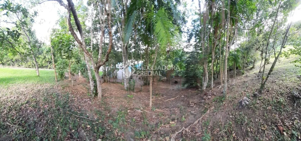 Imóvel Rural à venda, 12800m² na Manoel Leôncio de Souza Brito no Vargem Pequena, Florianópolis — foto 5