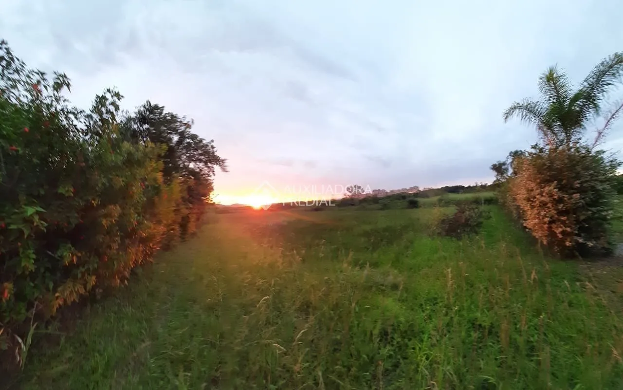 Imóvel Rural à venda, 12800m² na Manoel Leôncio de Souza Brito no Vargem Pequena, Florianópolis — foto 7