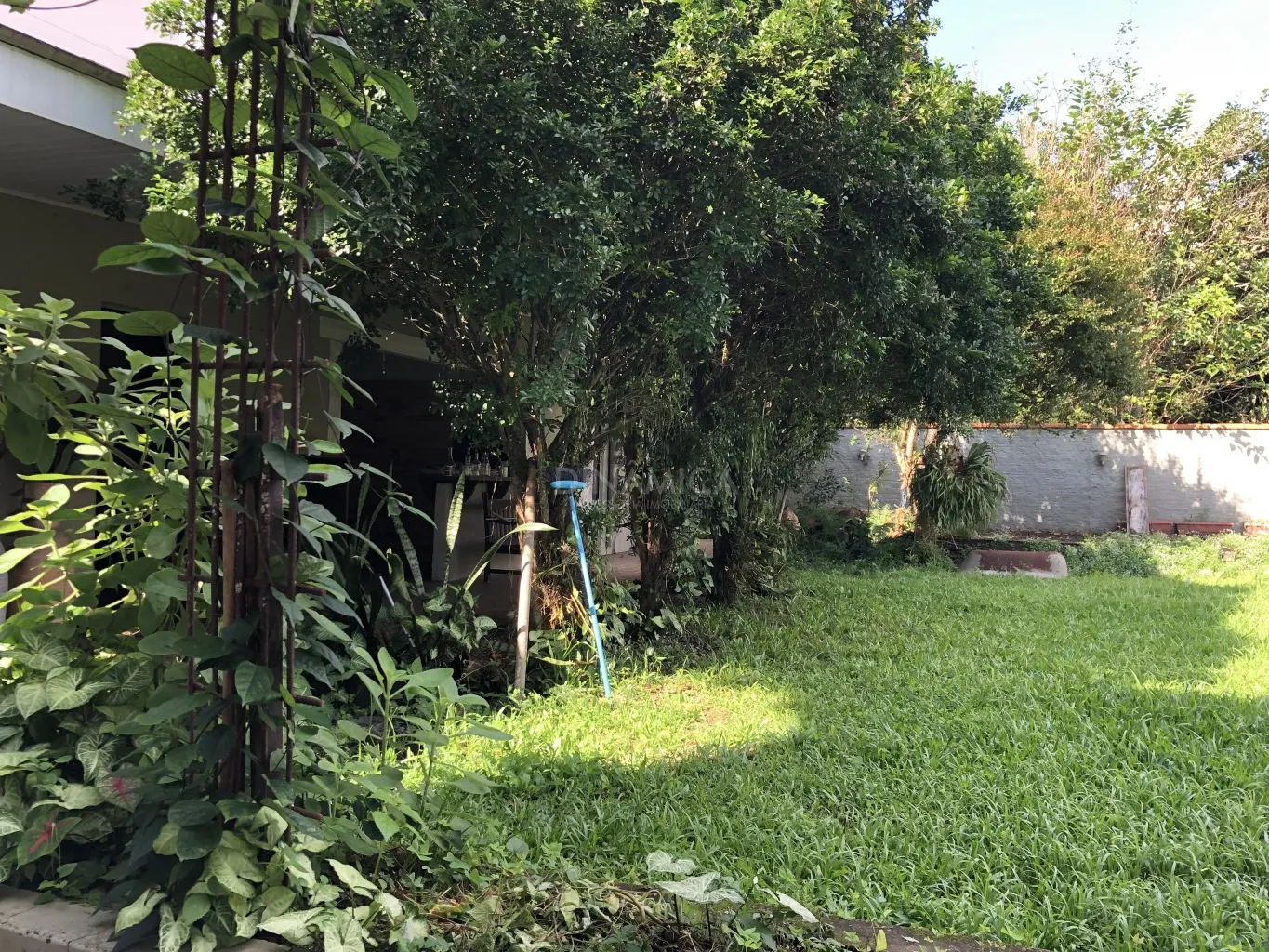 Casa com 5 dormitórios no bairro Bela Vista em Gaspar, com terreno de 616m2. — foto 7