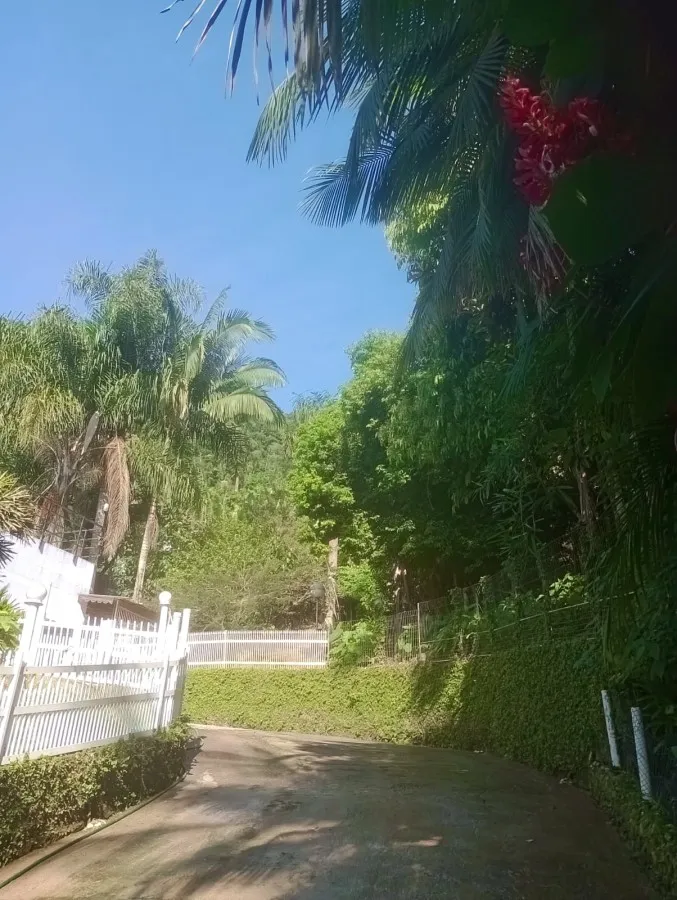 Sítio para Venda em Blumenau / SC no bairro Garcia — foto 6