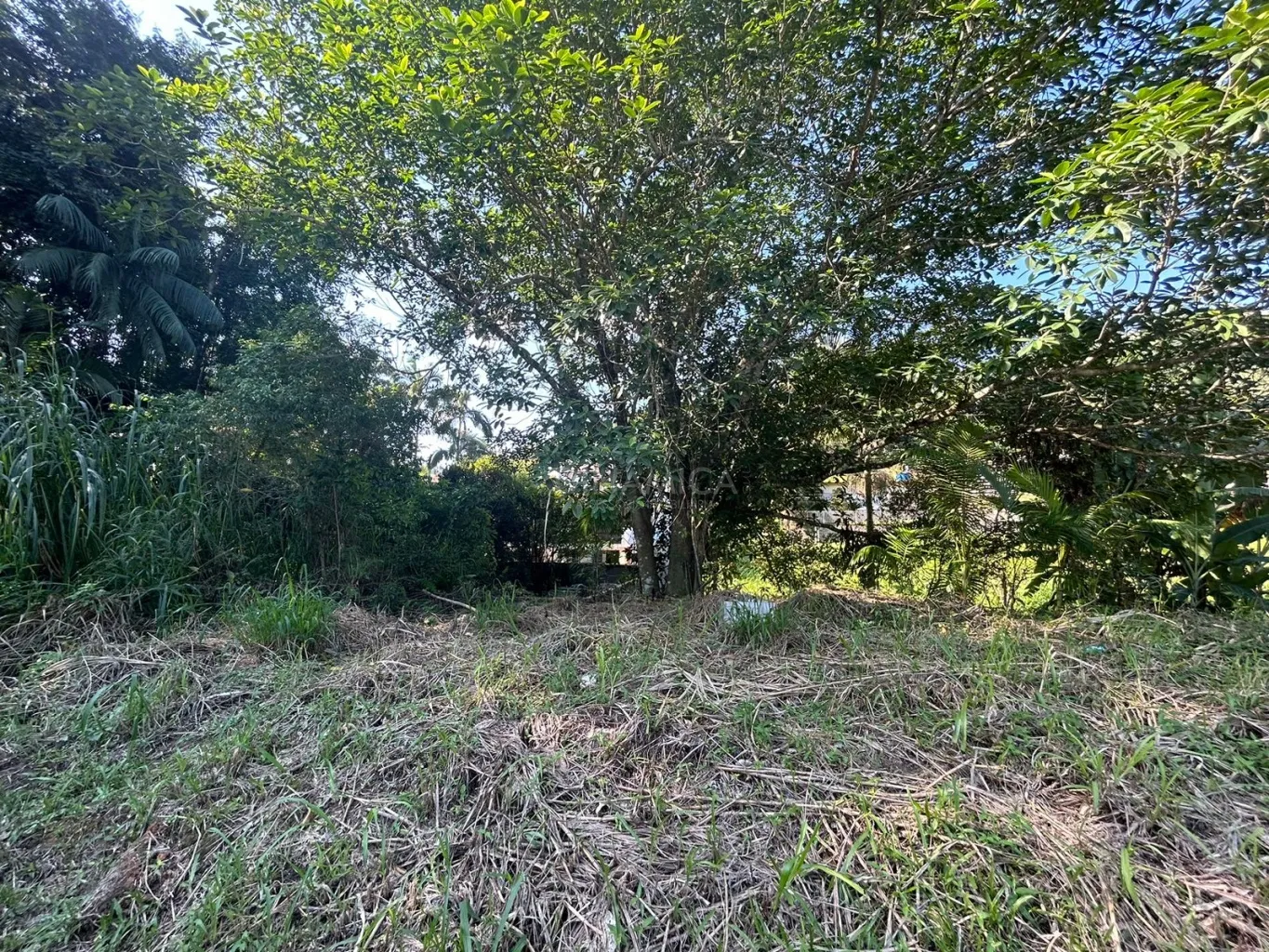Terreno à venda na transversal da General Osório, na Velha em Blumenau! - foto 1