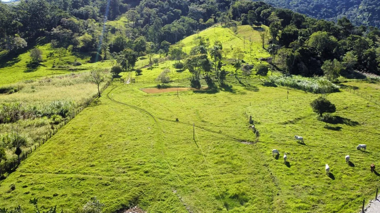 Sítio em Rodeio com 3 casas e todo preparado para criação de gado — foto 2