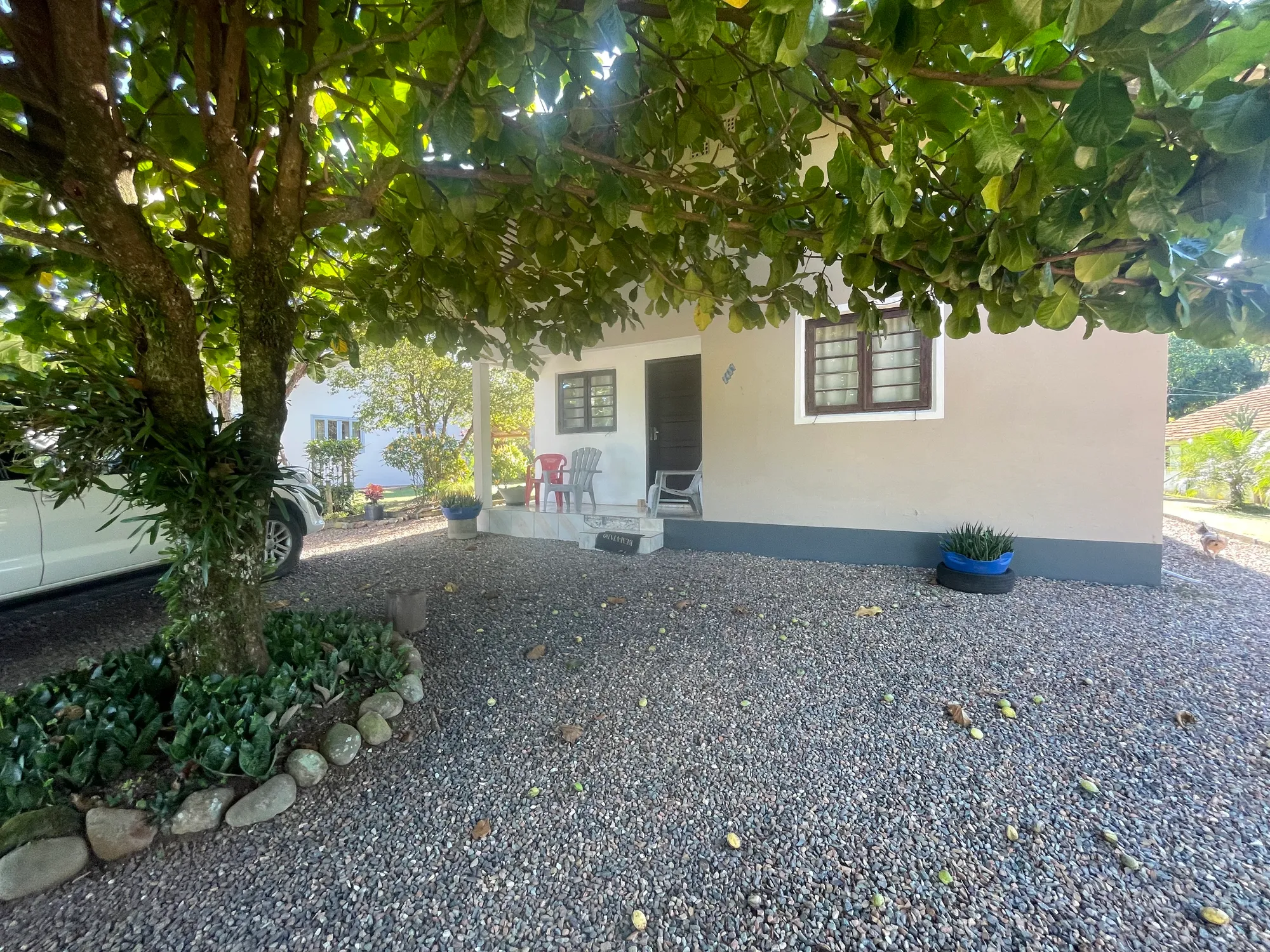 Sítio em Rodeio com 3 casas e todo preparado para criação de gado — foto 6