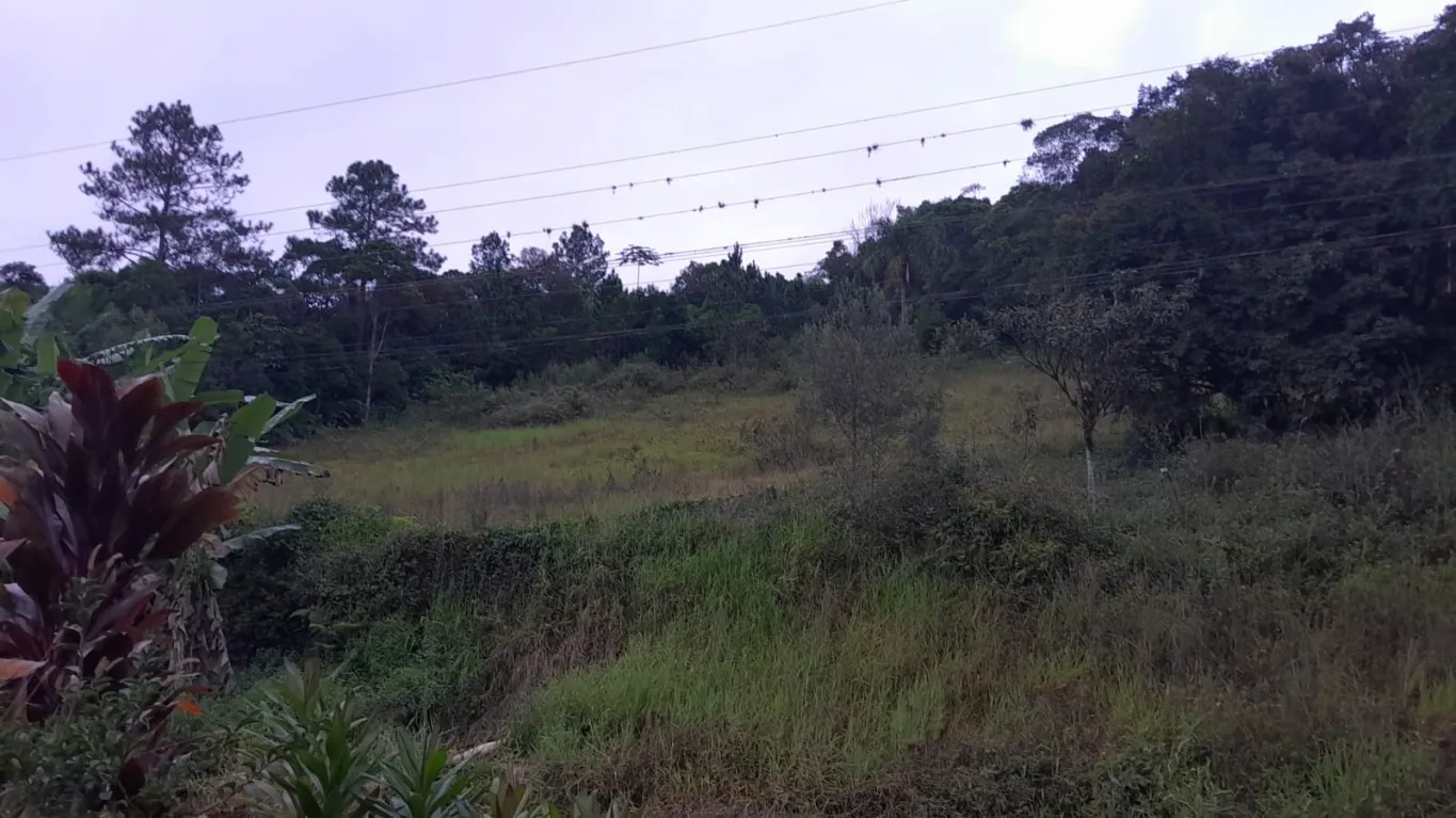 Terreno no bairro Macuco. - foto 1