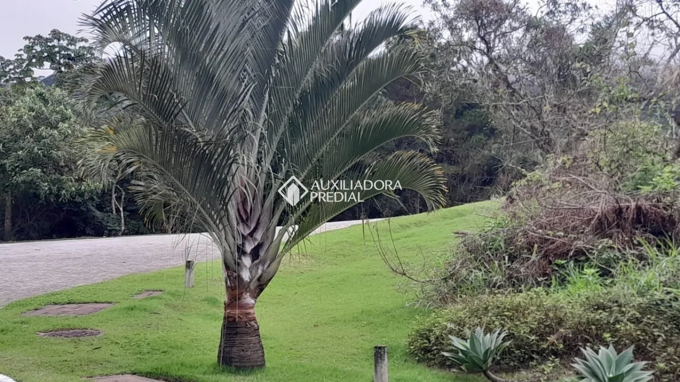 Imóvel — foto 5