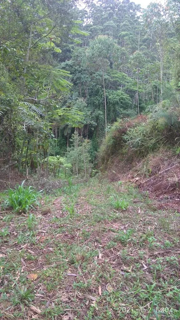 VENDO TERRENO PARA SITIO — foto 2