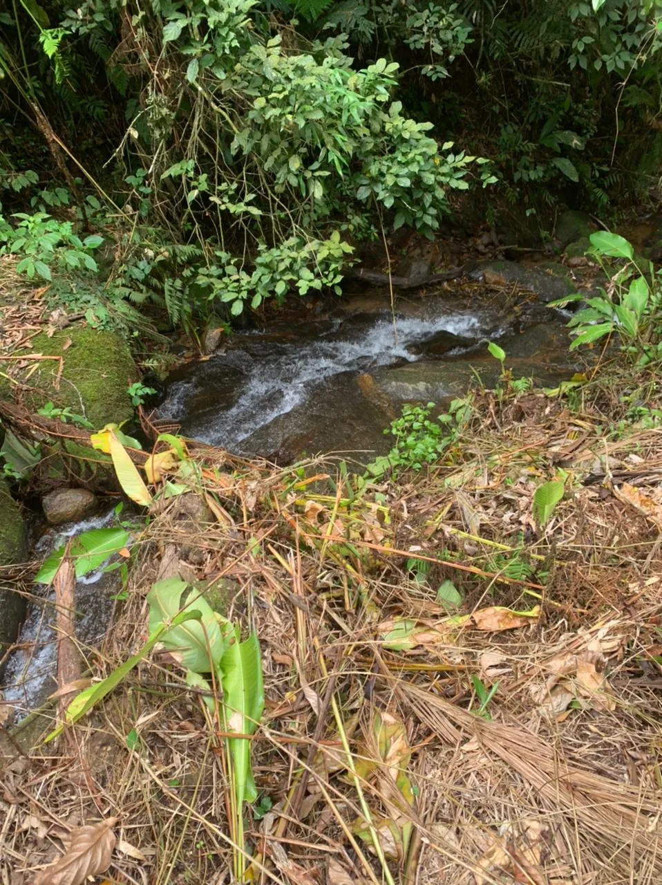 VENDO TERRENO PARA SITIO — foto 3