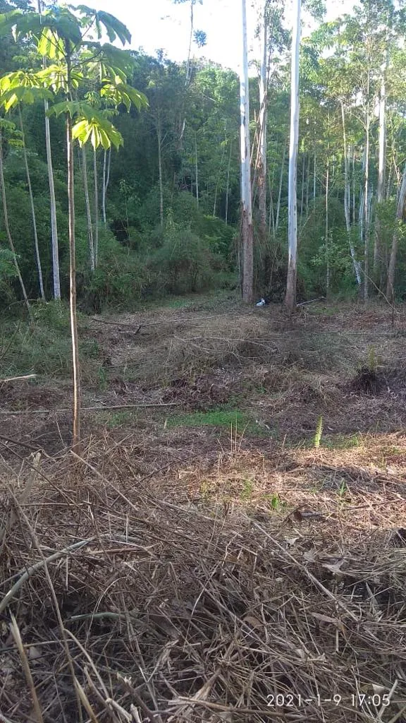 VENDO TERRENO PARA SITIO — foto 4