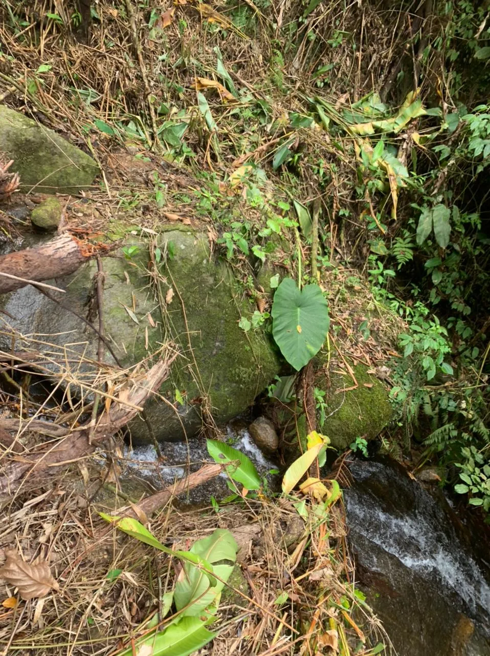 VENDO TERRENO PARA SITIO — foto 5