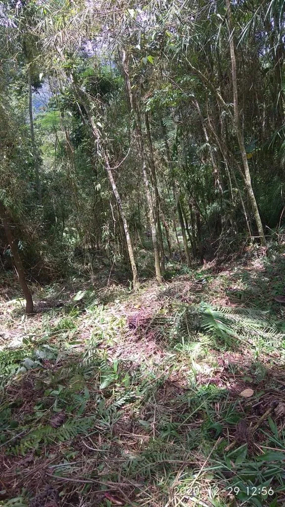 VENDO TERRENO PARA SITIO — foto 7