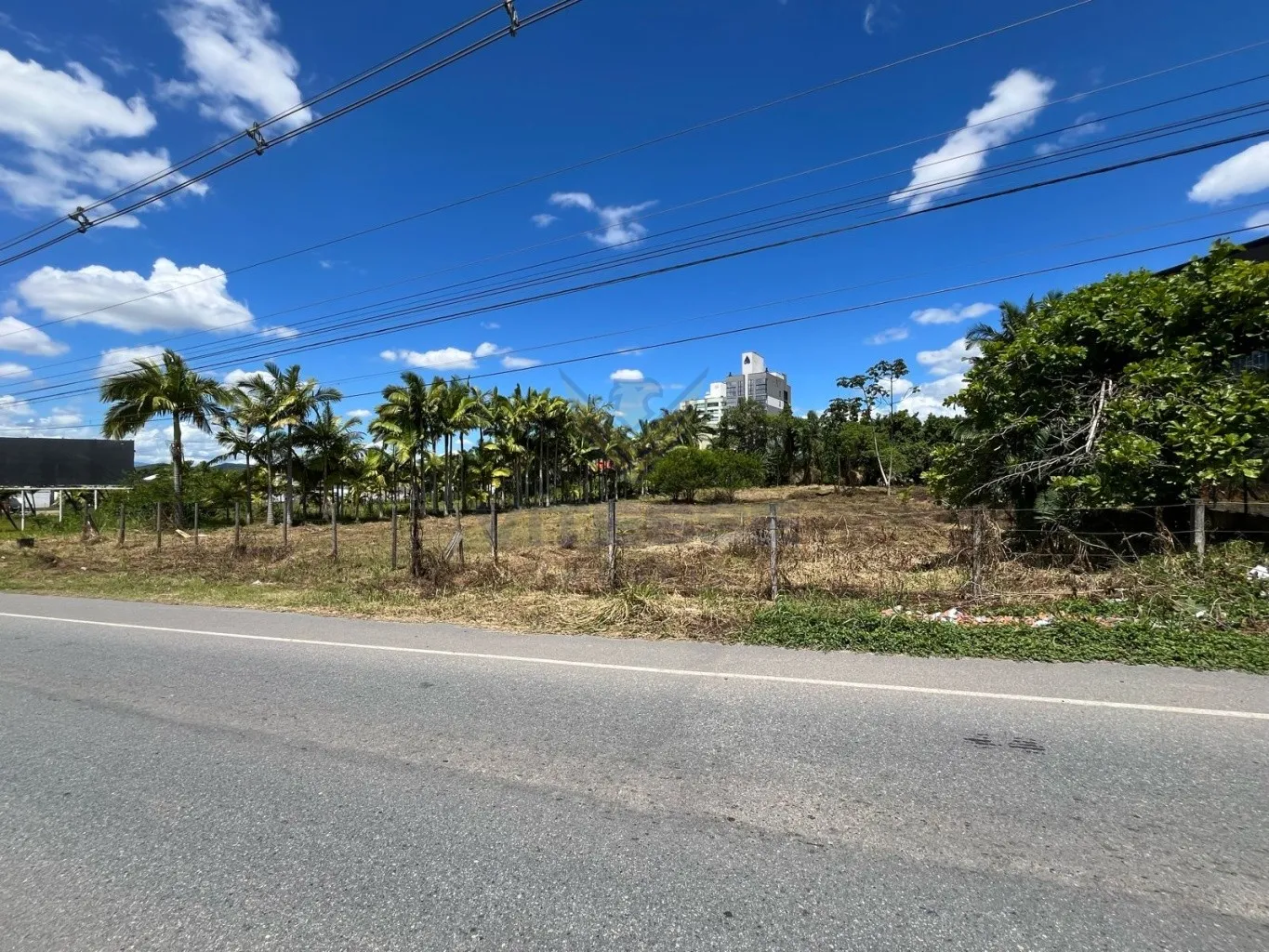 Terreno Comercial de frente para BR 470 - foto 1