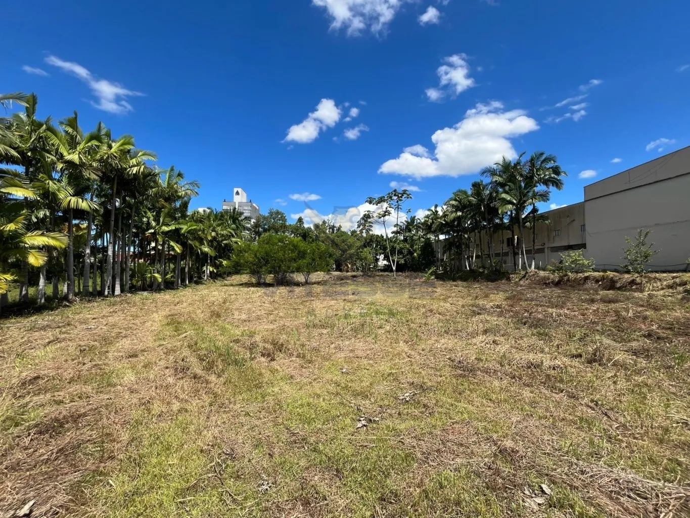 Terreno Comercial de frente para BR 470 — foto 3
