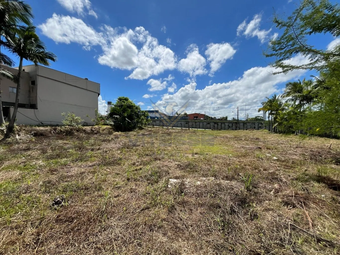 Terreno Comercial de frente para BR 470 — foto 4