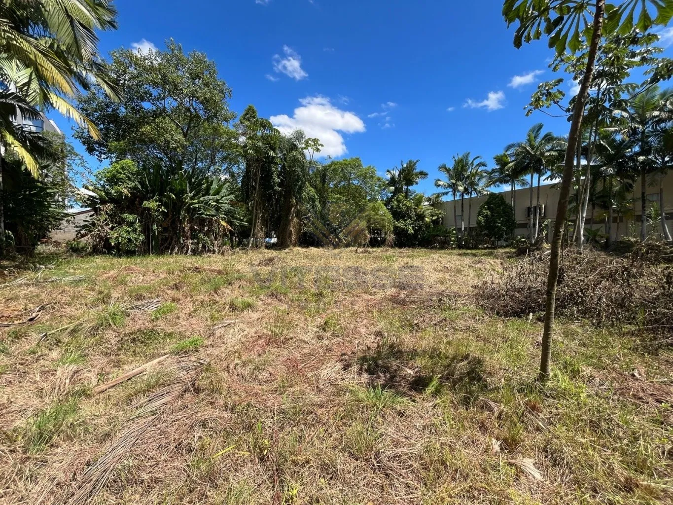 Terreno Comercial de frente para BR 470 — foto 6