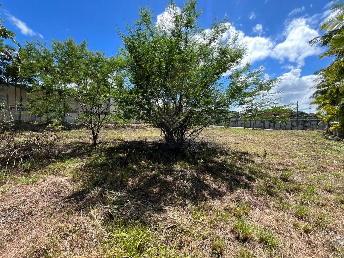 Terreno Comercial de frente para BR 470 — foto 7
