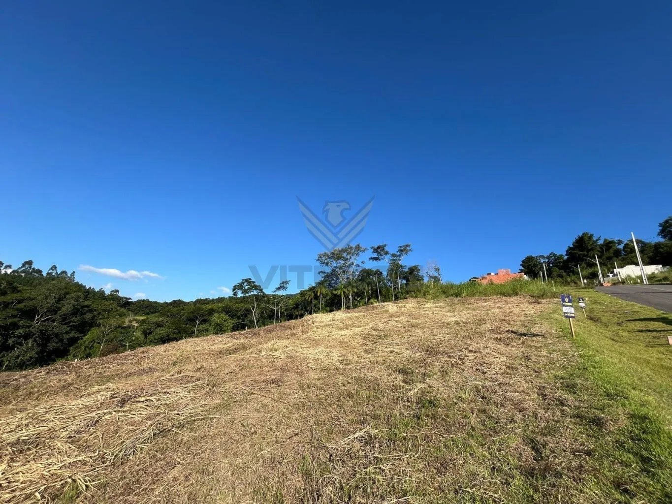 Terreno com 15,00m Frente — foto 4