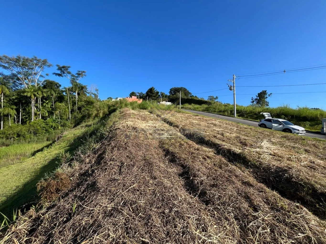 Terreno com 15,00m Frente — foto 7