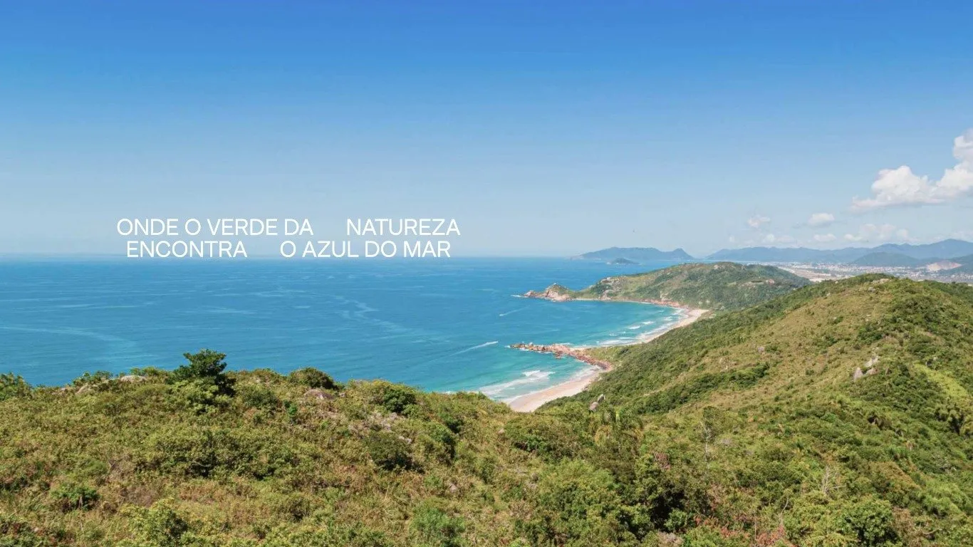 Imóvel — foto 6