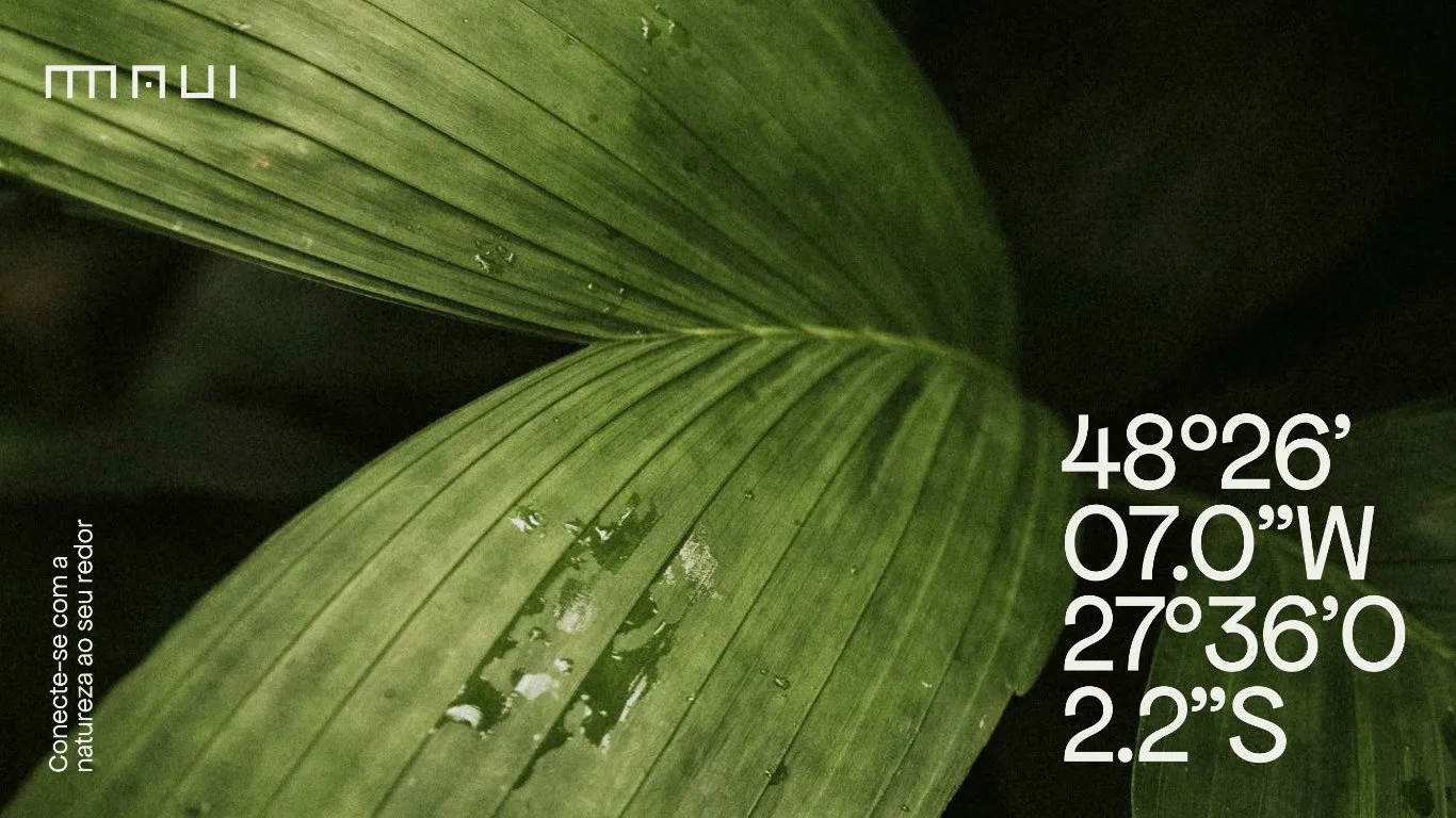 Imóvel — foto 5