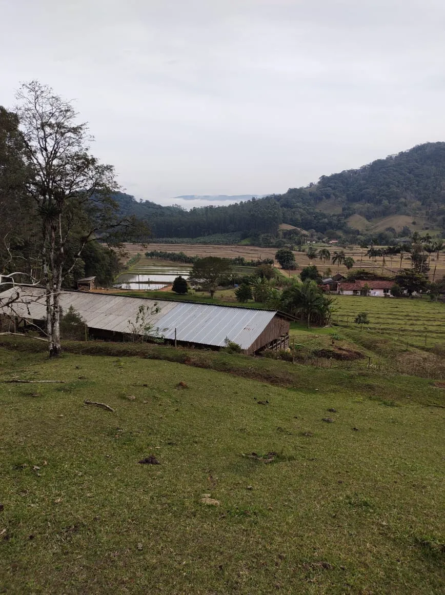 VENDO SITIO — foto 3