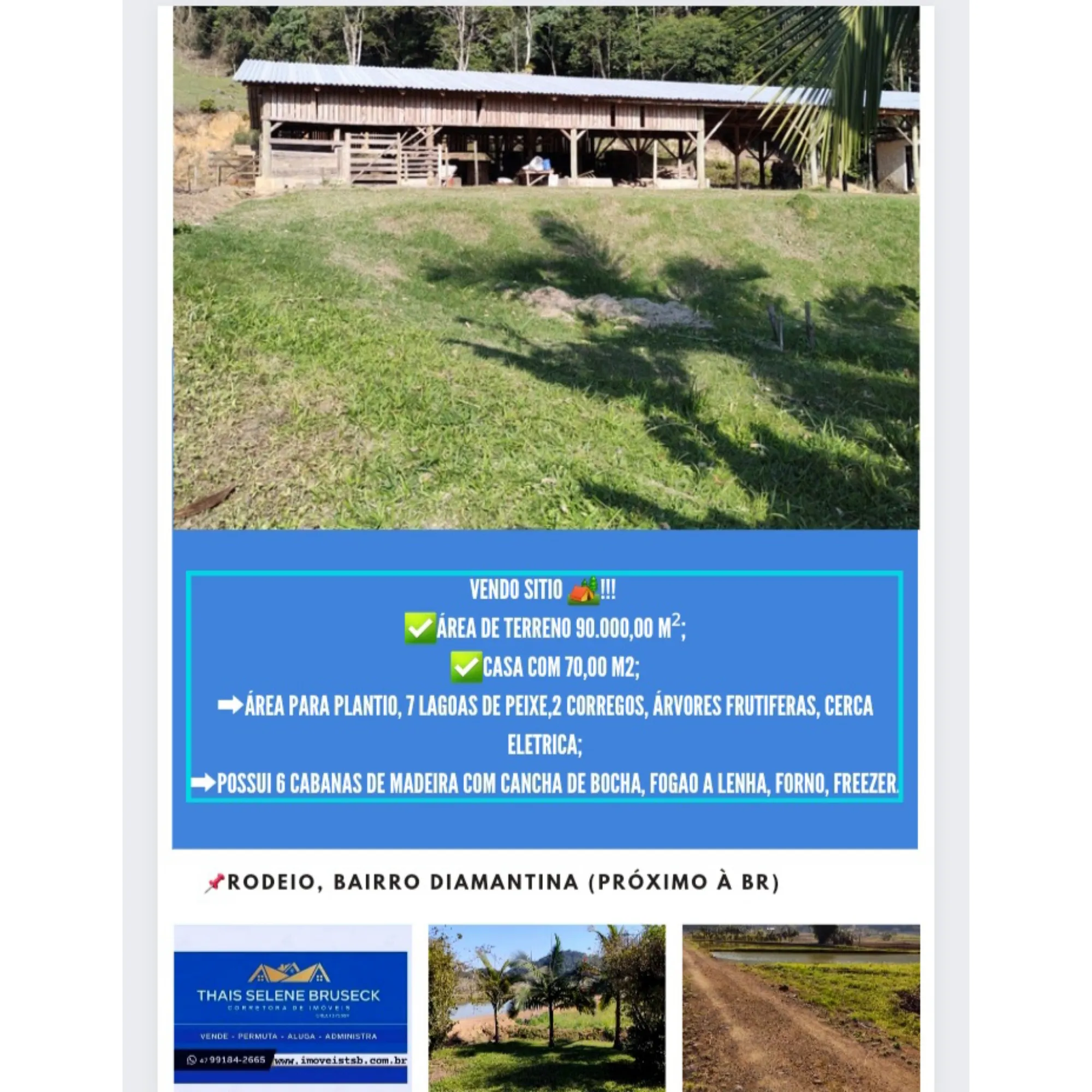 VENDO SITIO - foto 1