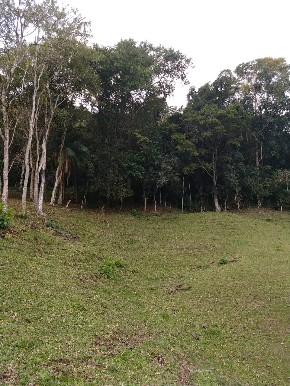 VENDO SITIO — foto 5