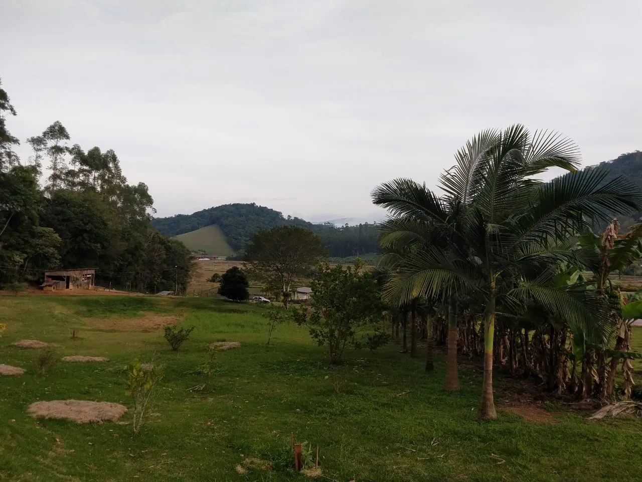 VENDO SITIO — foto 7