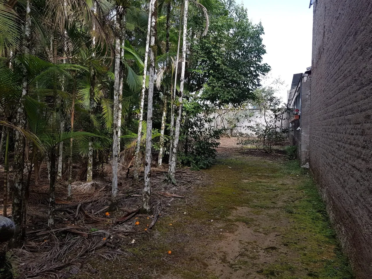 VENDO CASA — foto 4