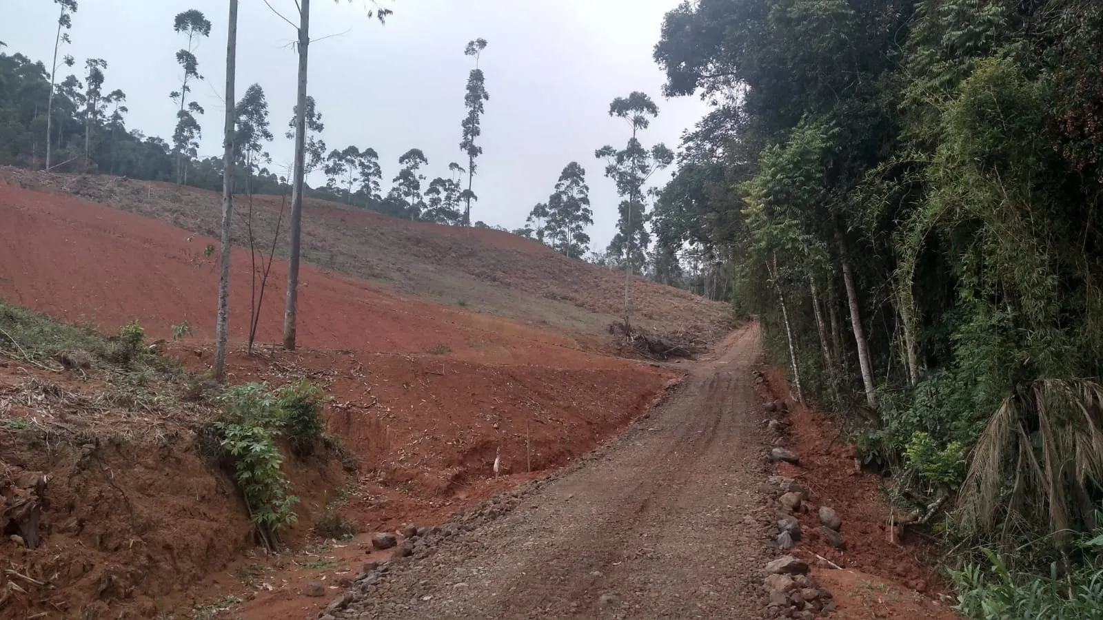 VENDO TERRENO — foto 7