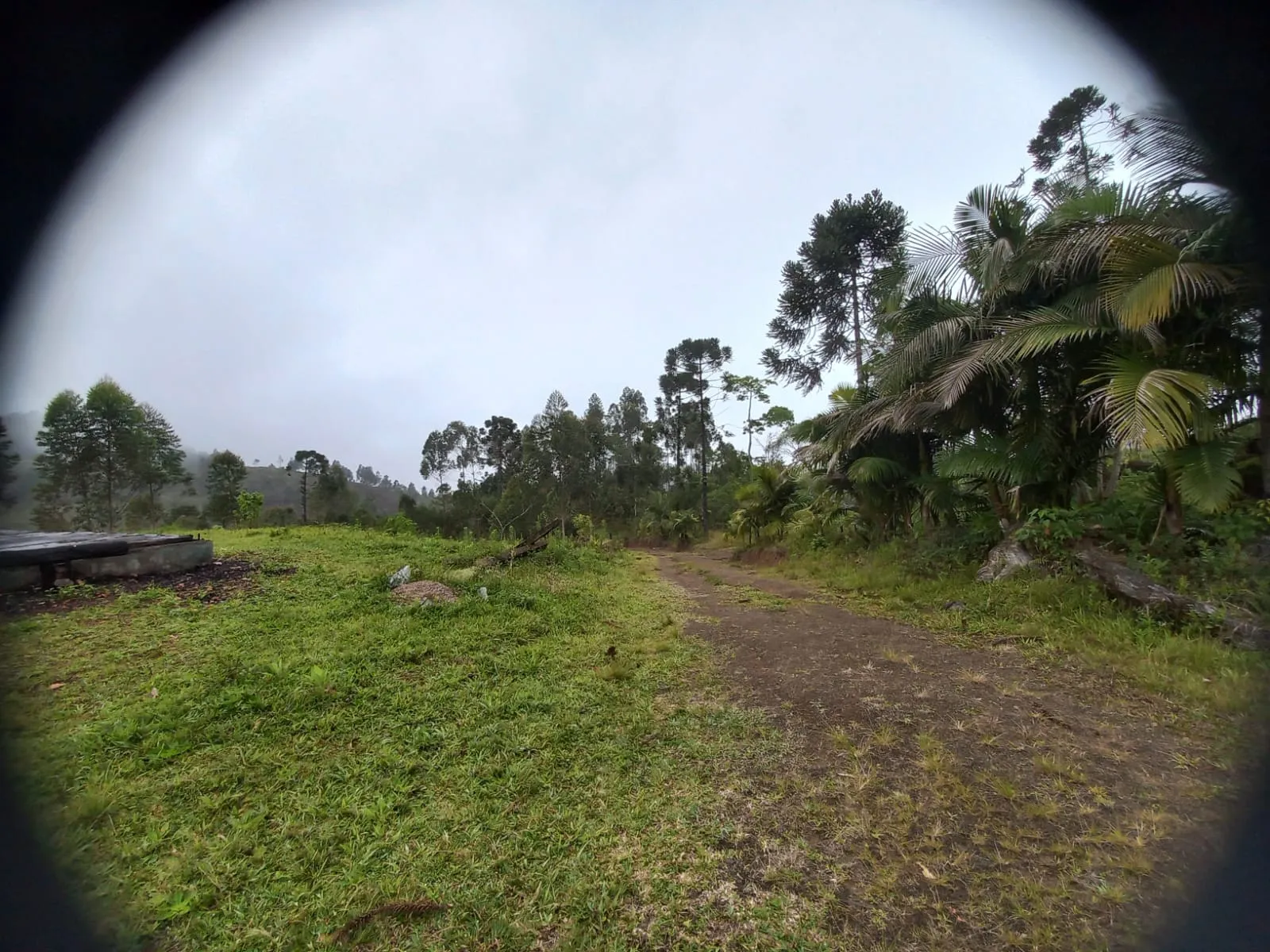 VENDO SITIO - foto 1