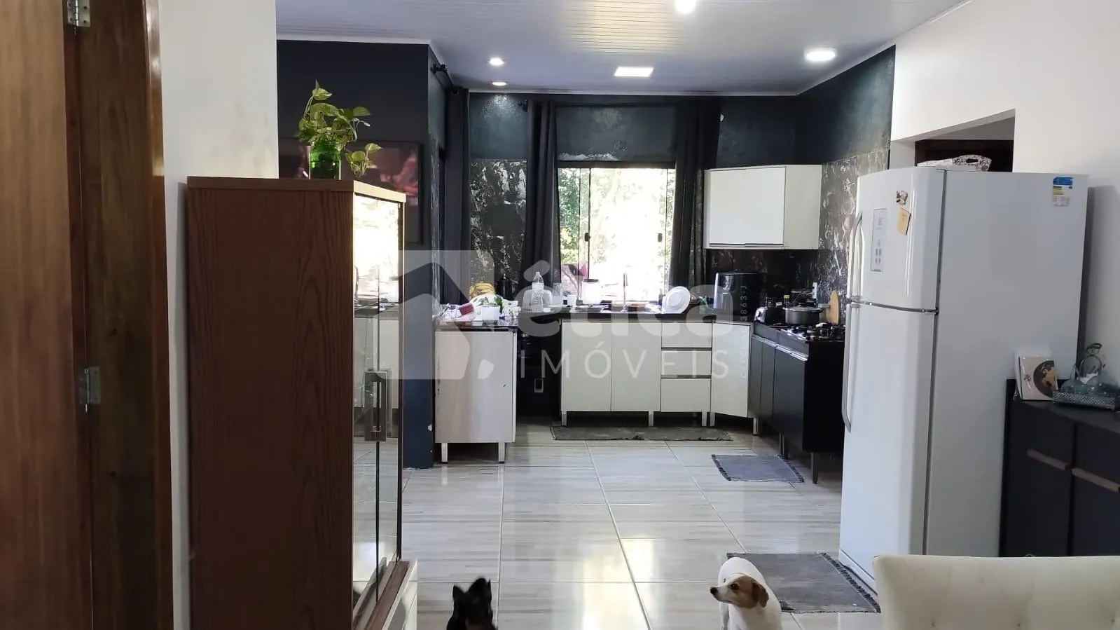 Espaçosa casa com Quintal Frutífero, no Bairro Itaipava. - foto 1