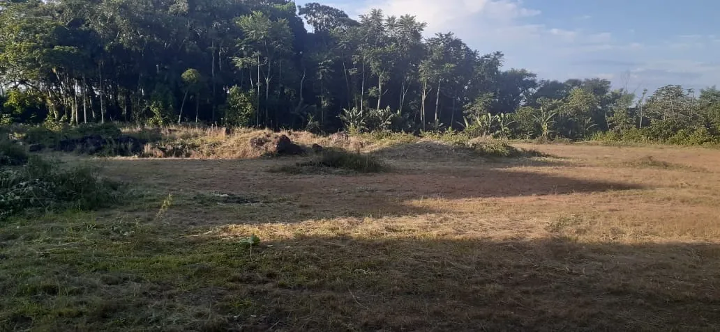 Excelente Terreno a Venda com Área Total:12.340,68m no bairro Salto do Norte! — foto 4