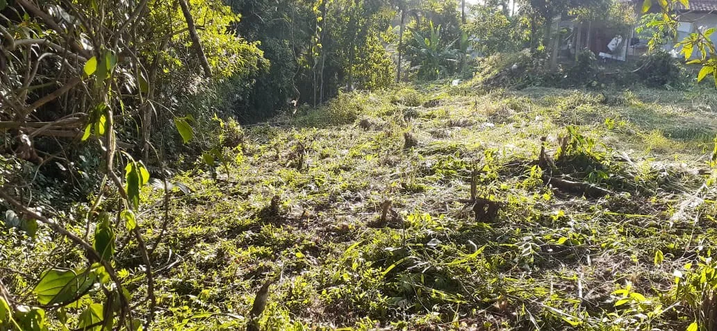 Excelente Terreno a Venda com Área Total:12.340,68m no bairro Salto do Norte! — foto 6