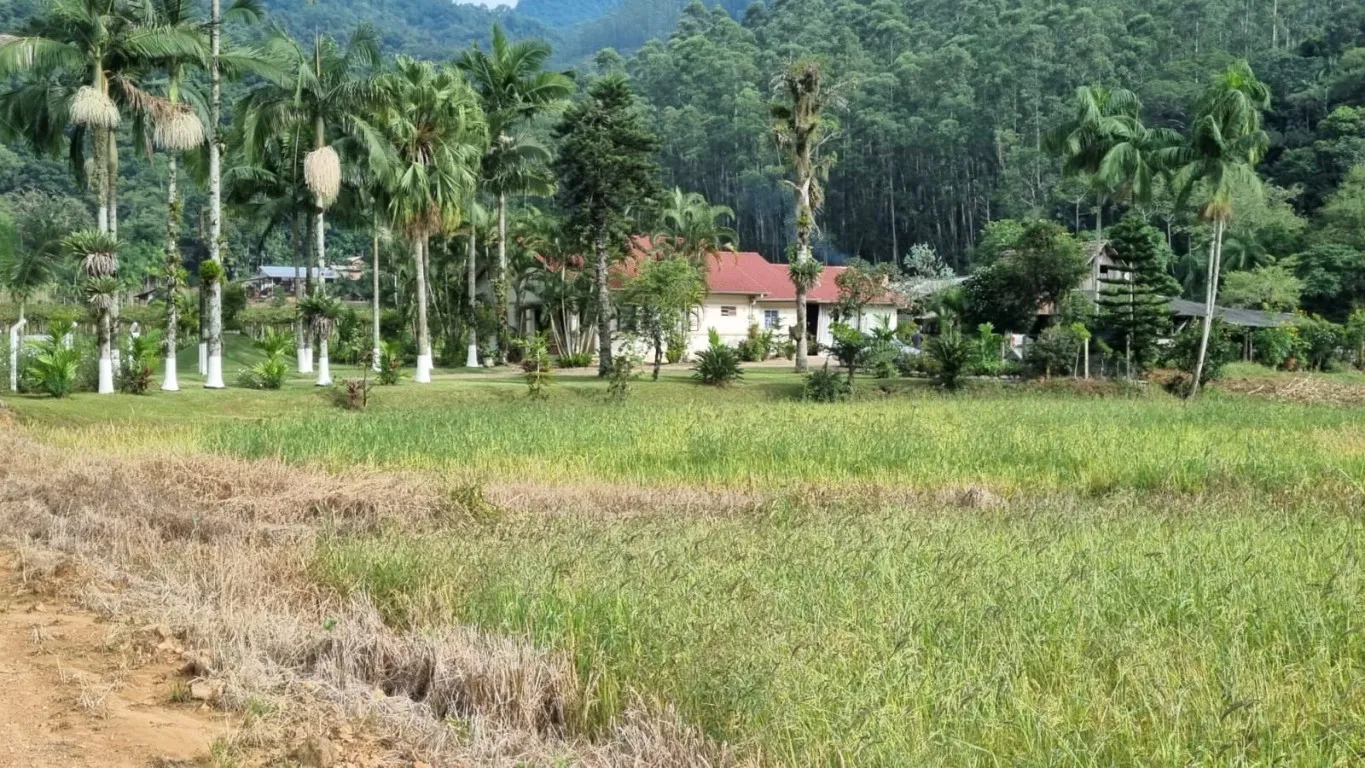 Sítio em Ascurra — foto 5