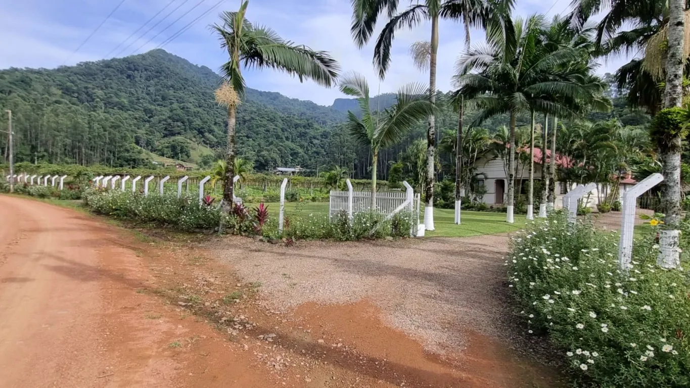 Sítio em Ascurra — foto 7