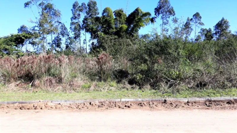 Terreno em Rodeio, pronto para construir — foto 3