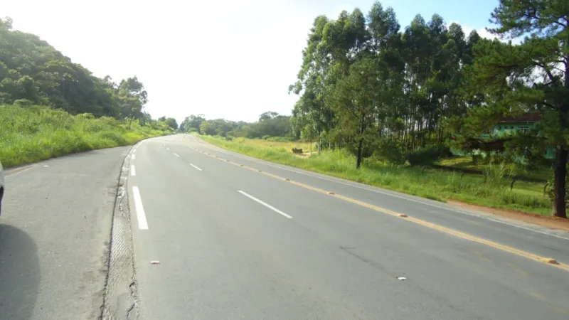 Terreno com amplas dimensões na BR 470 — foto 7