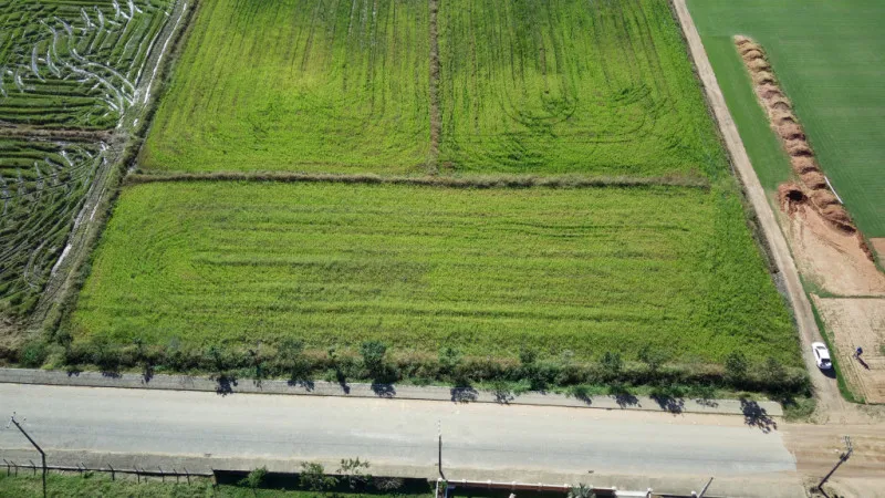 Terreno Rural em Ascurra — foto 3