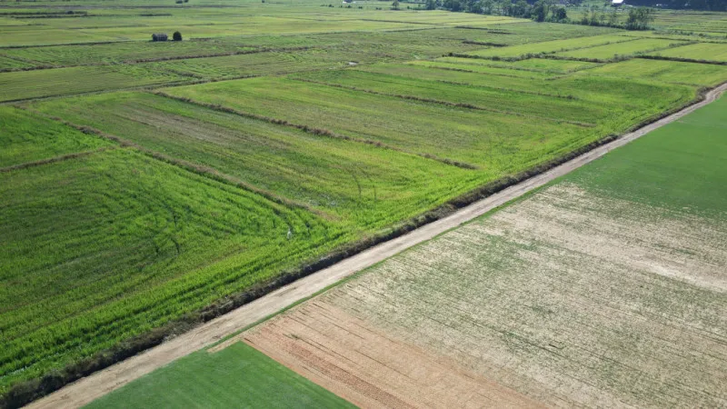 Terreno Rural em Ascurra — foto 5