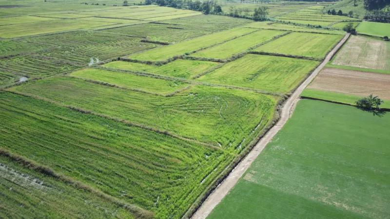 Terreno Rural em Ascurra — foto 6
