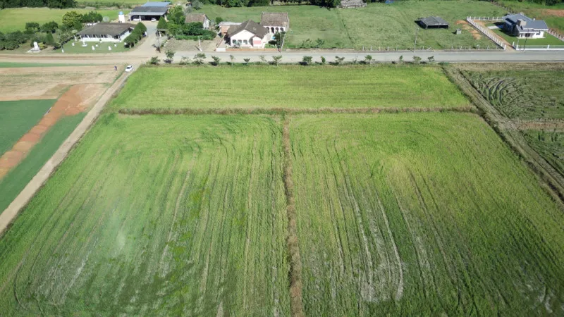 Terreno Rural em Ascurra — foto 7