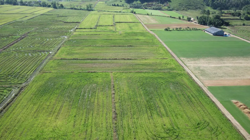 Terreno Rural em Ascurra — foto 2