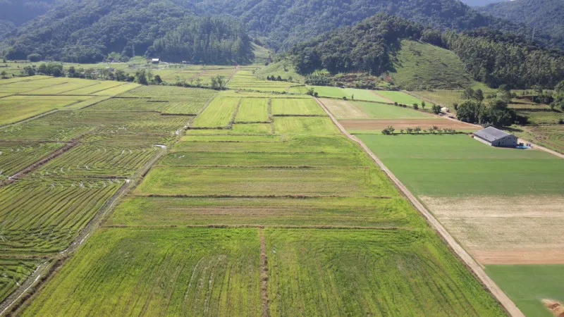 Terreno Rural em Ascurra - foto 1