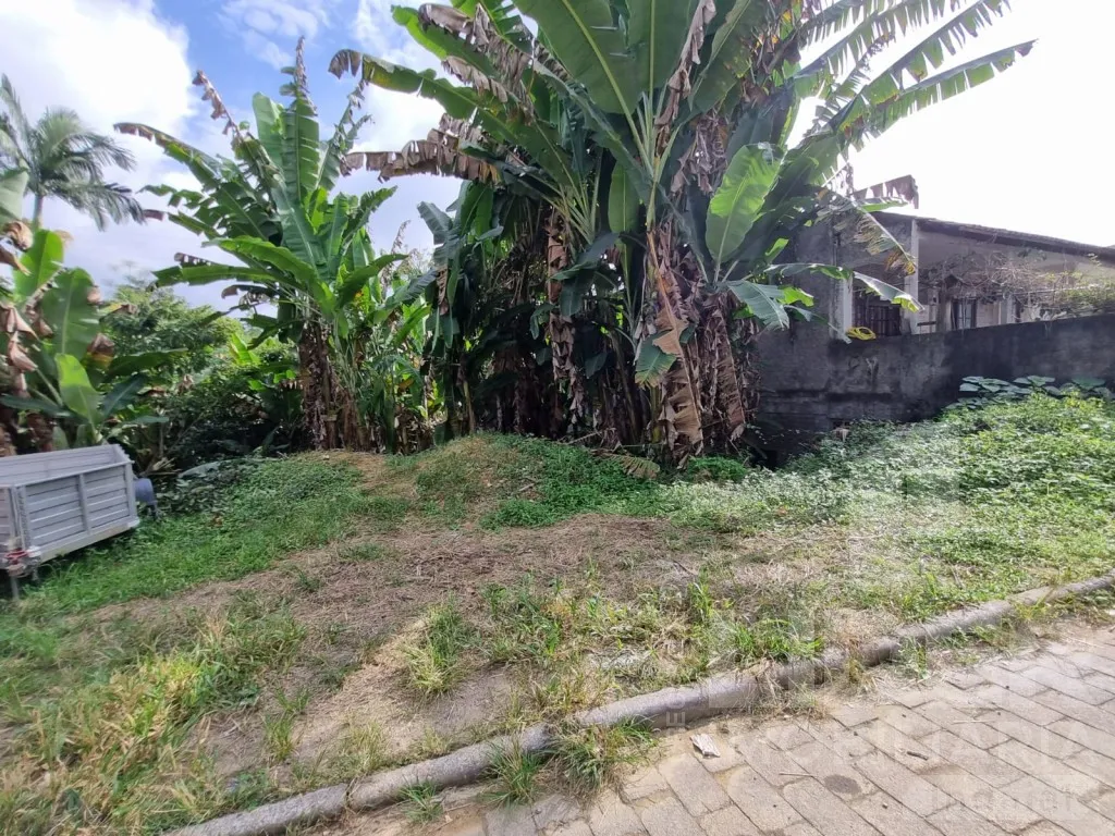 Terreno próximo ao Centro de Indaial — foto 4