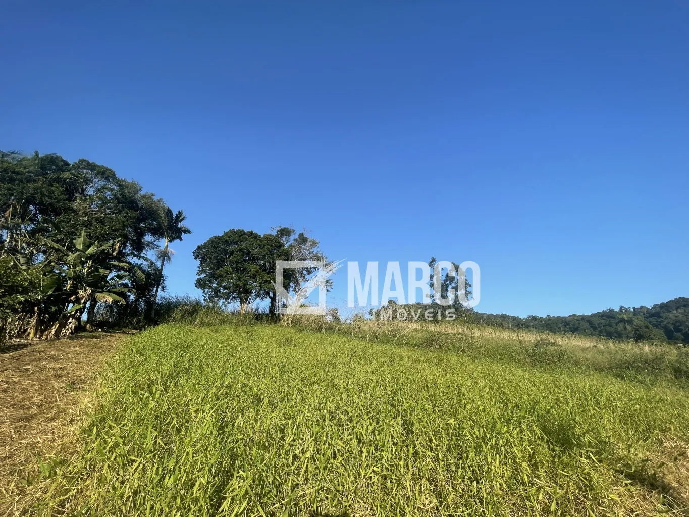 Ótimo terreno no bairro Rega III, em Pomerode — foto 7