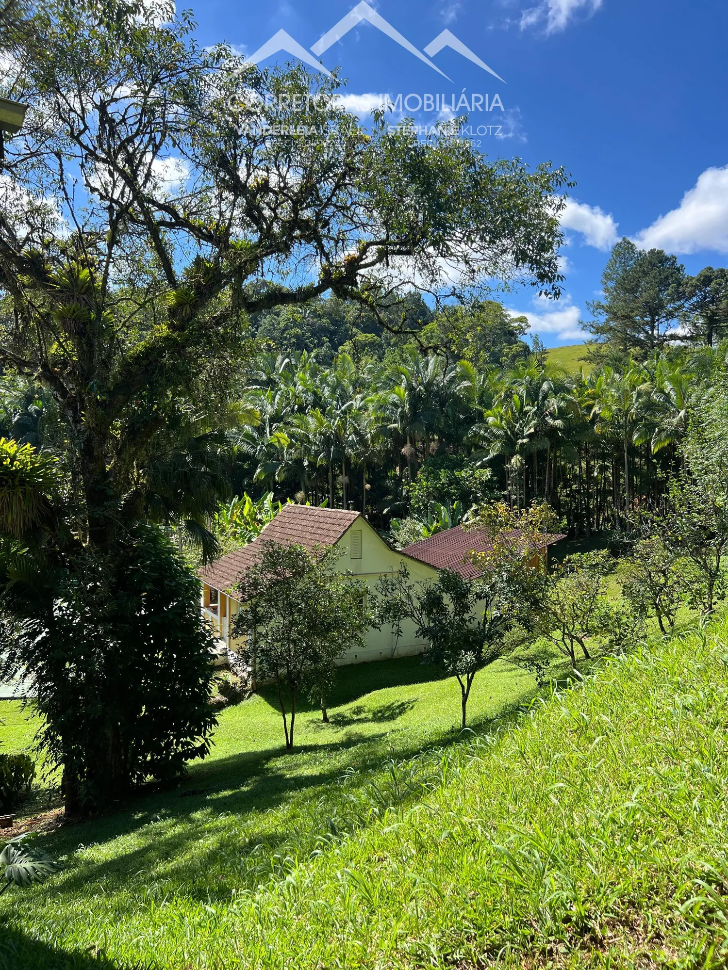 SÍTIO - Wunderwald, Pomerode SC — foto 3