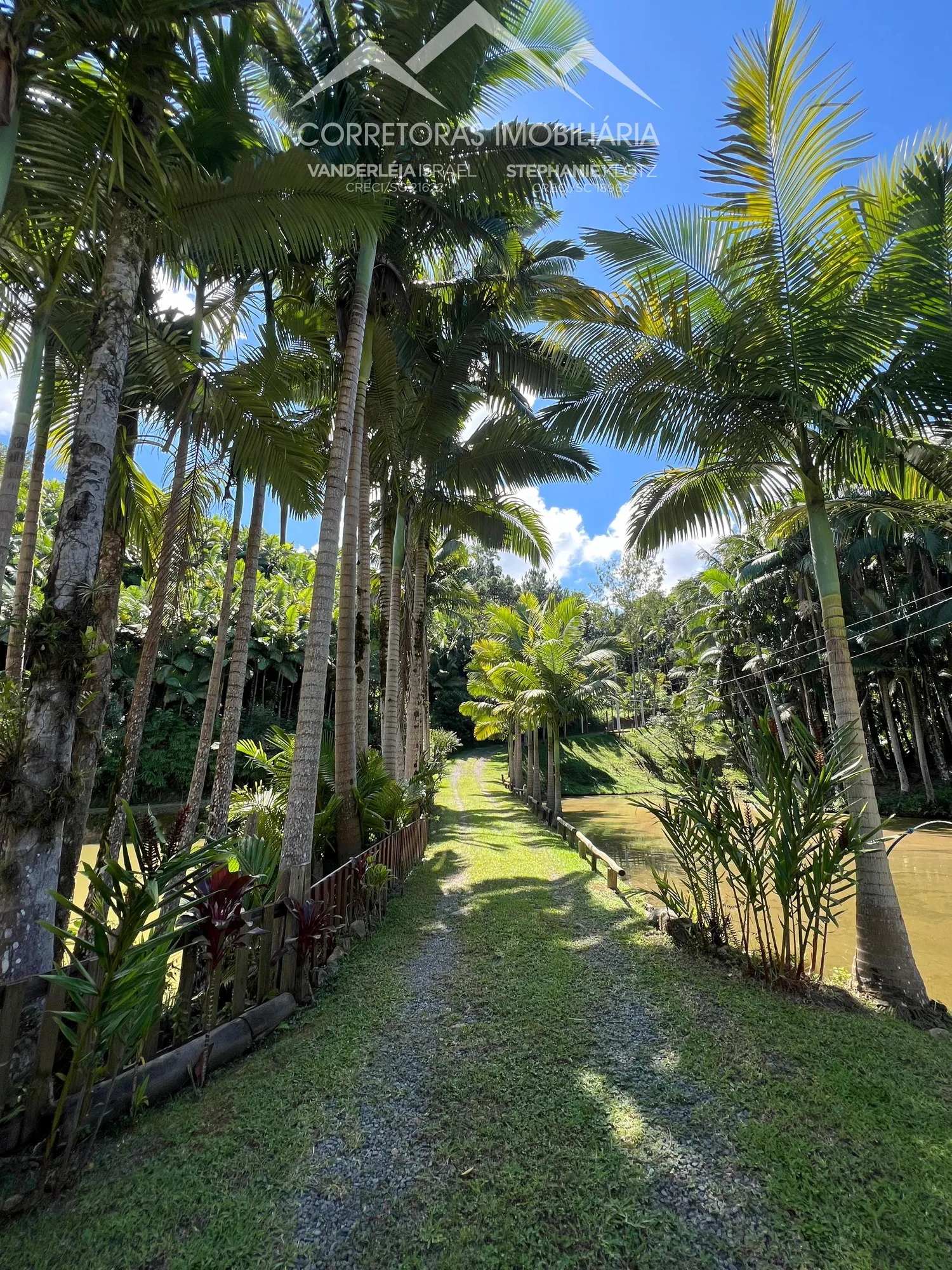 SÍTIO - Wunderwald, Pomerode SC — foto 4