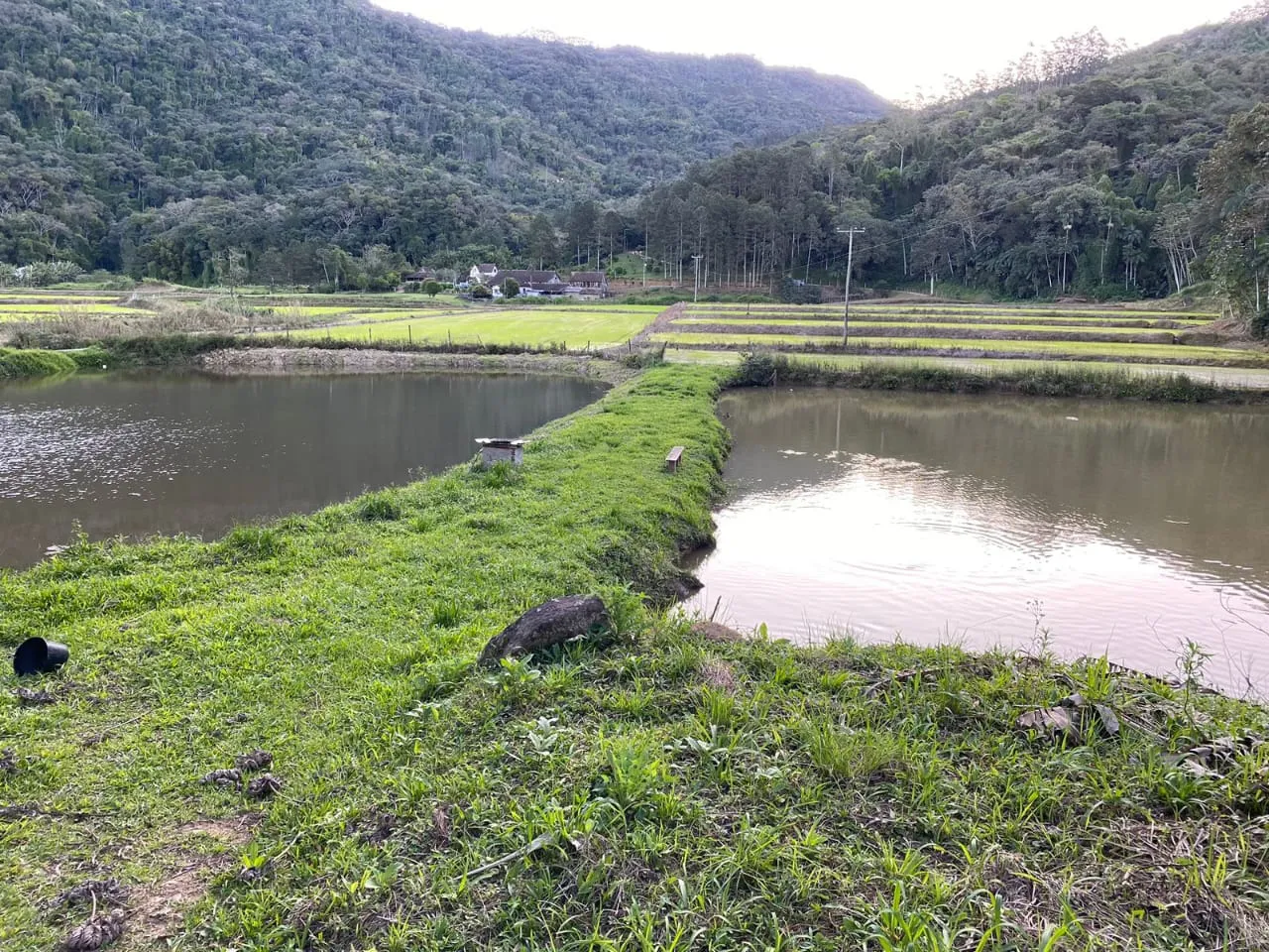 VENDO OU TROCO SÍTIO EM TIMBÓ POR CASA NA REGIÃO OU LITORAL — foto 4