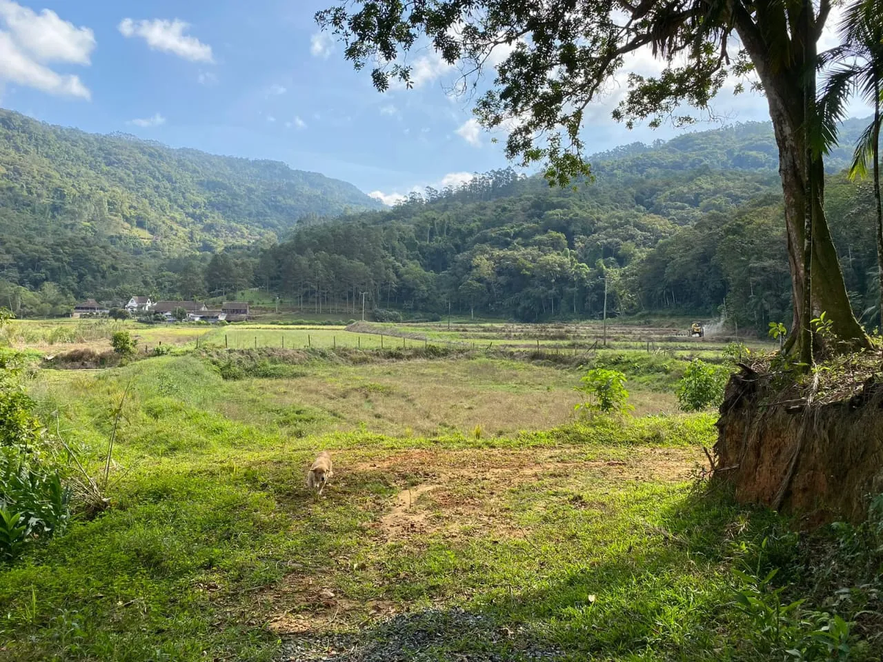 VENDO OU TROCO SÍTIO EM TIMBÓ POR CASA NA REGIÃO OU LITORAL — foto 6