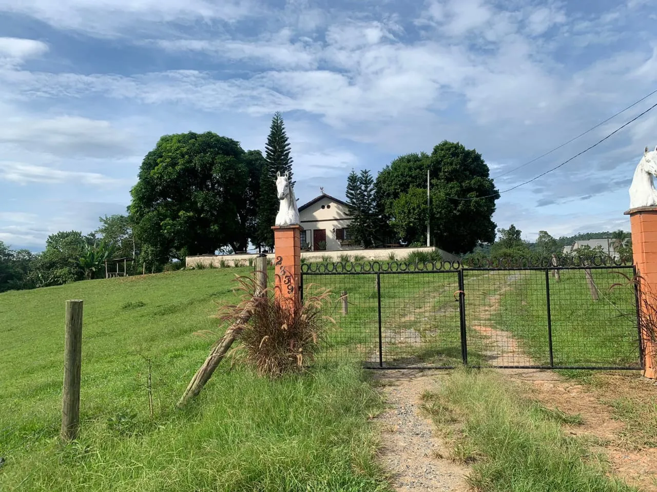 VENDO LINDO SÍTIO EM TIMBÓ — foto 2